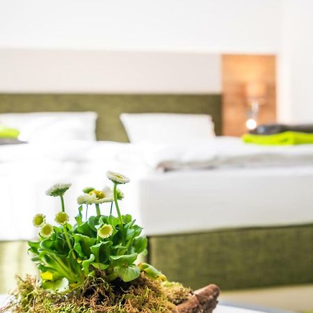 Hotel-Pension Treppengasse Nr 6 Альтенбург Экстерьер фото